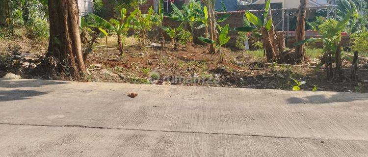 Tanah Murah Di Bawah Njop Bulusan Selatan Kampus Undip Tembalang 1