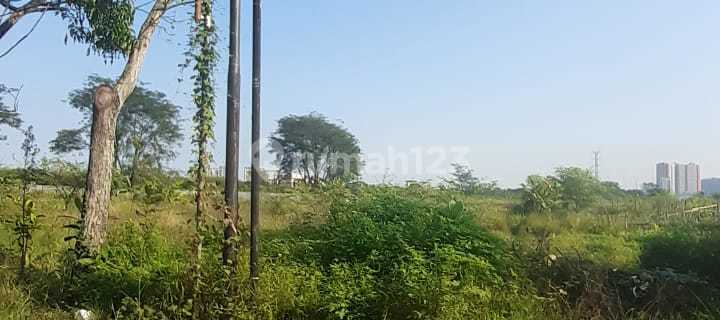 Tanah Murah Di Bawah Njop Mulawarman Barat Dekat Kampus Undip Cocok Usaha Kost"san 1