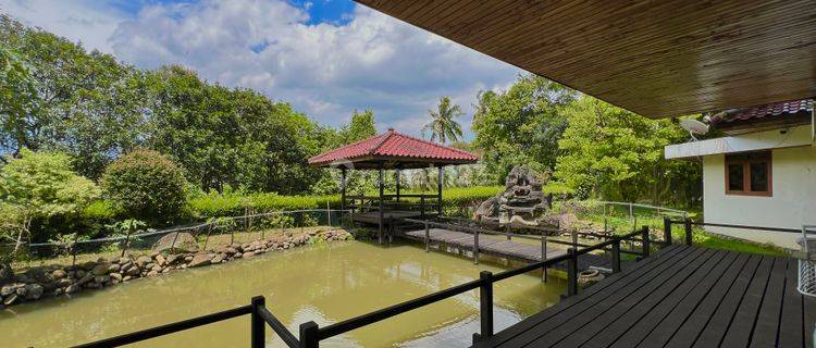 Villa Kota Bogor View Gunung Luas Asri 5 Menit Dari Exit Tol  1