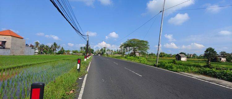 FOR SALE HOOK LAND ON ANGANTAKA MAIN ROAD NEAR BALI ZOO 1