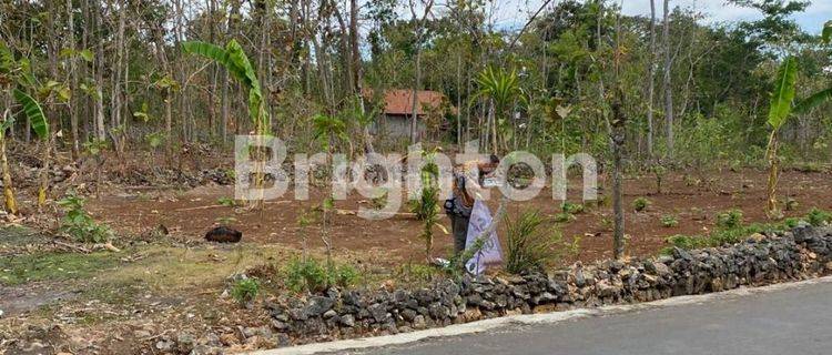 TANAH KAVLING DI BEJIHARJO GUNUNGKIDUL 1