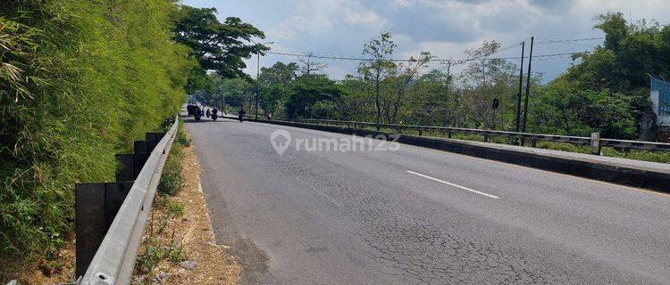 Tanah di Jalan Raya propinsi Surabaya malang 4410m SHM 1