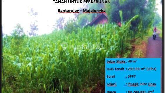 Tanah Untuk Perkebunan  1