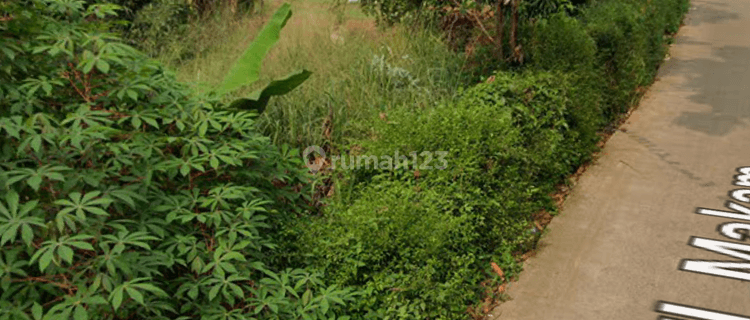 Di Jual Tanah di Pengasinan, Sawangan,Depok 1