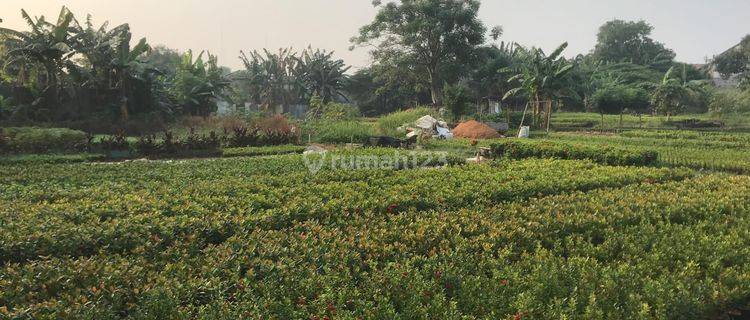 Tanah Cocok Buat Usaha Perkebunan di Raden Saleh Karang Tengah Tangerang 1