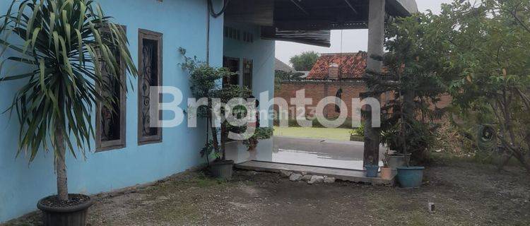 DIJUAL RUMAH KAMPUNG KANDANG SUKARAYA KARANG BAHAGIA BEKASI 1