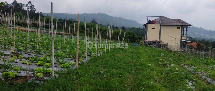 Tanah Murah Di Lembang View Kota Bandung Lepas , Cocok Untuk Villa, Rumah, Glamping, Kebun 1