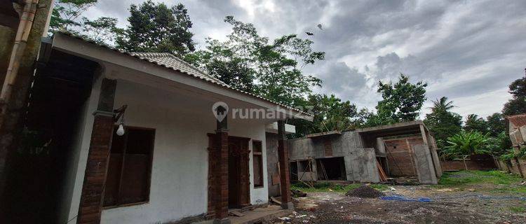 RUMAH MURAH TANAH LUAS DI BOROBUDUR MAGELANG 1