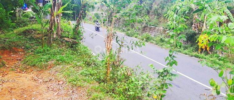 TANAH PEKARANGAN MANGKU JALAN NASIONAL PATHUK WONOSARI GUNUNGKIDUL 1