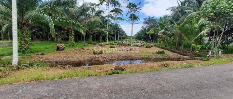 Tanah Kavling Siap Bangun Untuk Usaha Atau Wisata Kavling Bisnisku Blok C ED 1