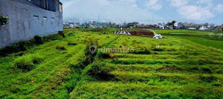 Tanah Cocok Untuk Kosan di Jatinangor Dekat Kampus 1