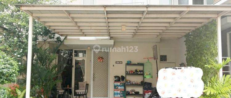 Butuh Jual Cepat Rumah Grand Pakuwon Siap Huni 1