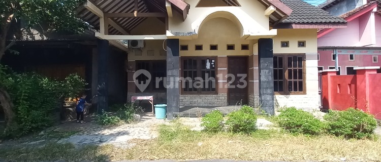 Dikontrakan Rumah Murah Dekat Jln.wonosari Piyungan 1