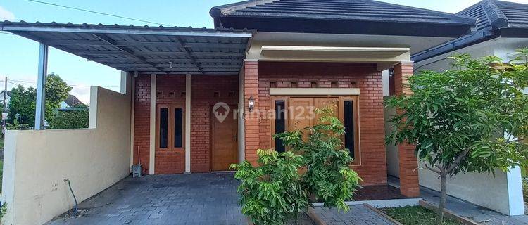 Dikontrakan Rumah Murah Minimalis Bersih Terawat Potorono 1