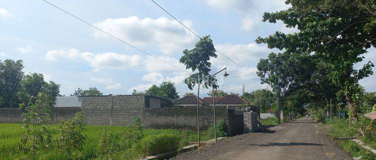 Dijual Tanah Pekarangan Murah Dekat Kota Jogja Strategis 1