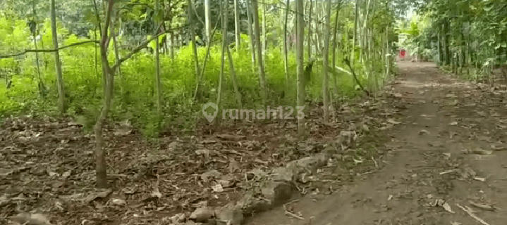 Tanah murah di Semanu 1