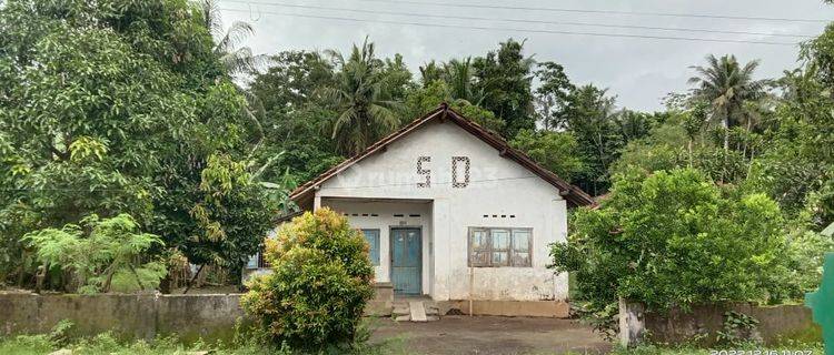Tanah pekarangan bonus rumah 1