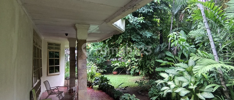 Di Jual Rumah Tua Bagus Minimalis Sederhana Daerah Menteng 1