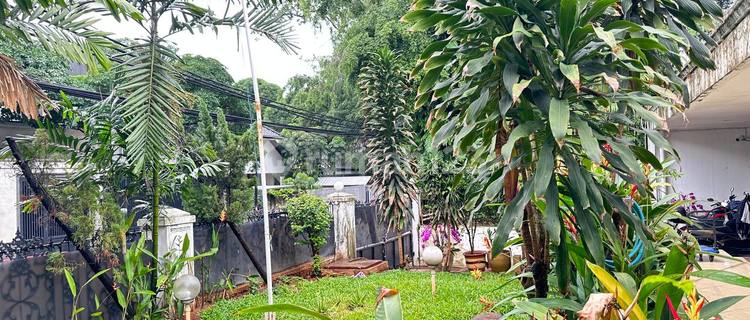 Beautiful House on a Rectangular Plot of Land 1