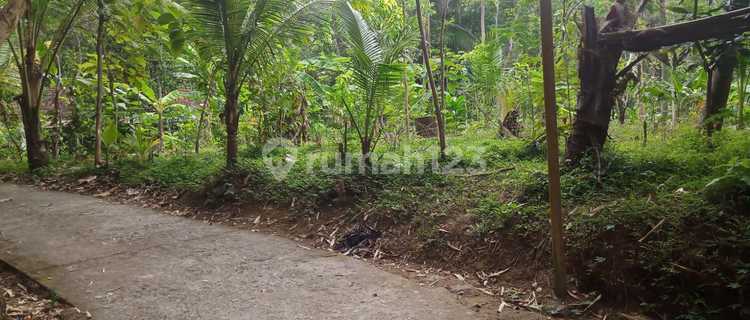 Dijual Tanah Murah Dekat Tempat Wisata di Yogyakarta 1