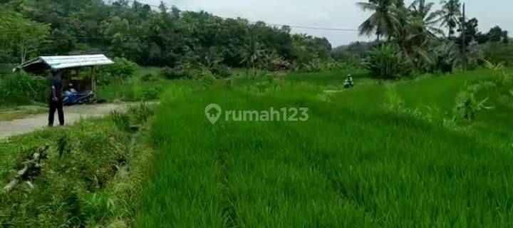 Dijual Tanah Sangat Murah Dekat Daerah Wisata Alam Kulonprogo Yogyakarta 1