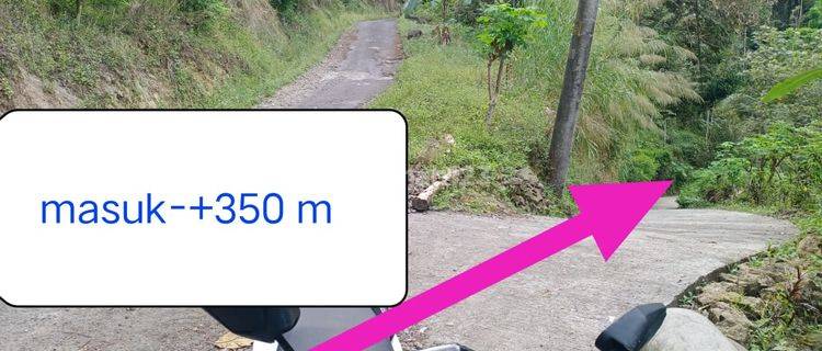 Dijual Tanah Murah Dekat Bandara Yogyakarta Hanya 99 Ribu Permeter 1