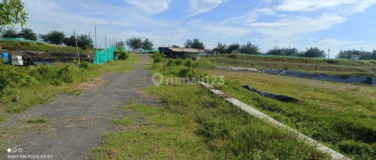 Dijual Tambak Udang Harga Murah Bu di Purworejo 1