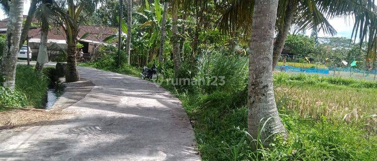 Lahan 5893m2 Kontur Sawah Dan Sungai Lokasi Kendran Tegalalang  1