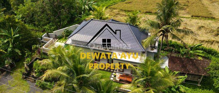 Villa View Sawah 2 Bedrooms Land 700m2 Location Tampak Siring 1