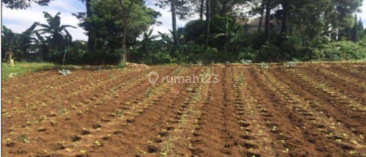 Jual Tanah di Bandung Setia Budi 7000M2 45M Nego 1