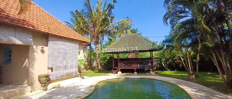 Big Villa With Garden And Jungle View At Kemenuh Near Ubud Bali 1