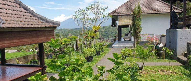 Rumah Semi Villa View Gunung, Sawah, Sunset di Petang Badung 1