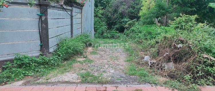 Dijual Tanah Dekat Kampus Unud Jimbaran  1