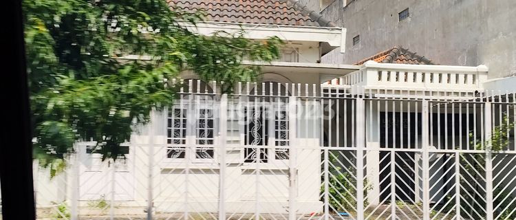 MAIN ROAD CLASSIC HOUSE SOLO 1