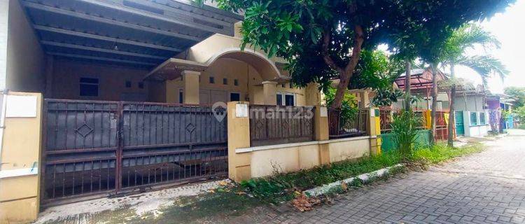 Rumah Bagus  Dekat DPRD 1