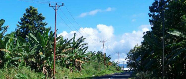 Dijual Tanah Di Minahasa Utara 1