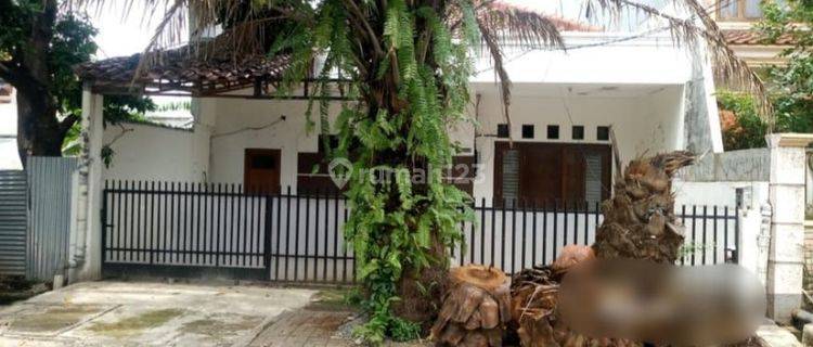 Rumah 2 lantai harga hitung Tanah dengan lingkungan tenang di Jl Cempaka putih Tengah 1