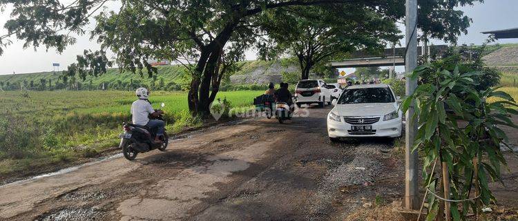 TANAH LOKASI STRATEGIS PEGANDON KARANGDADAP PEKALONGAN JAWA TENGAH 1