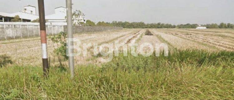 TANAH INDUSTRI BALONGBENDO 1