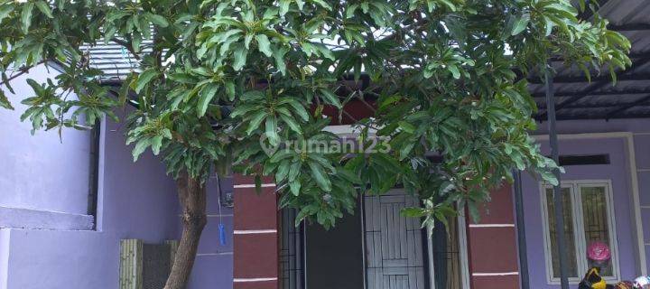 Rumah Murah Turun Harga 1