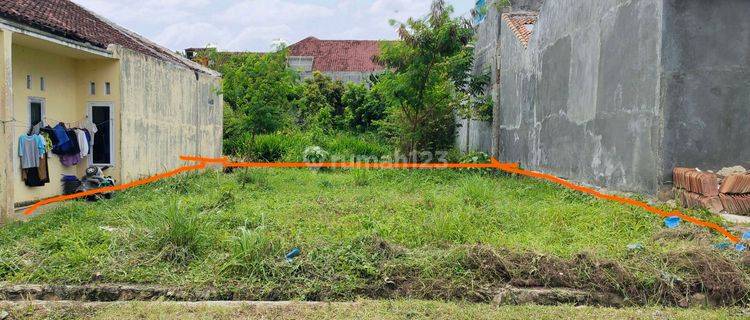 Dijual Tanah Kavling Siap Bangun Dekat Kampus Polinela Unila 1