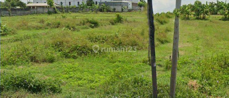 Tuban ~  Tanah Industri Siap Bangun, 0 Jalan Raya, Area Komersial 1