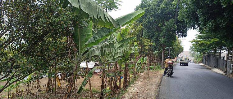 Tanah Murah Lokasi Strategis di Main Road Ngamprah Padalarang 1