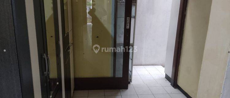 Sewa Rumah jl pelikan sudah renovasi tinggal masuk 1