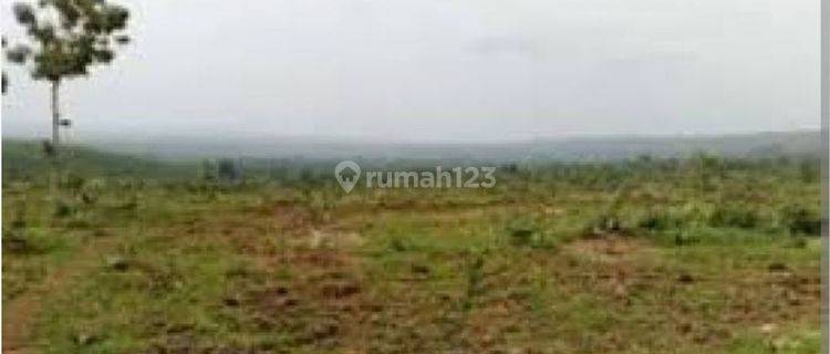 Dijual Lahan Kosong khusus Jasa Batam Center  1