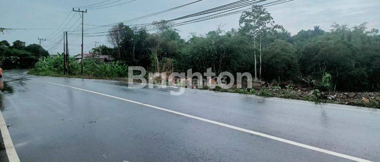 TANAH BAGUS PINGGIR JALAN JL POROS BALIKPAPAN SAMBOJA 1