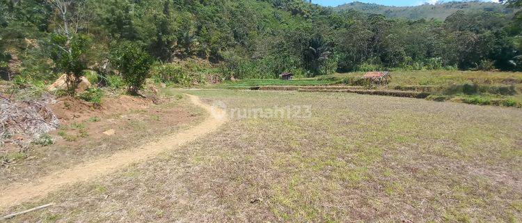 Jual Murah Tanah Datar 4574 M2 Cocok Untuk Kebun di Cisitu Sumedang 1