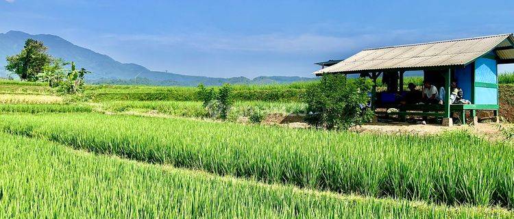 Dijual Murah Tanah Sawah 2742 M2 Pemandangan Bagus di Purwakarta 1