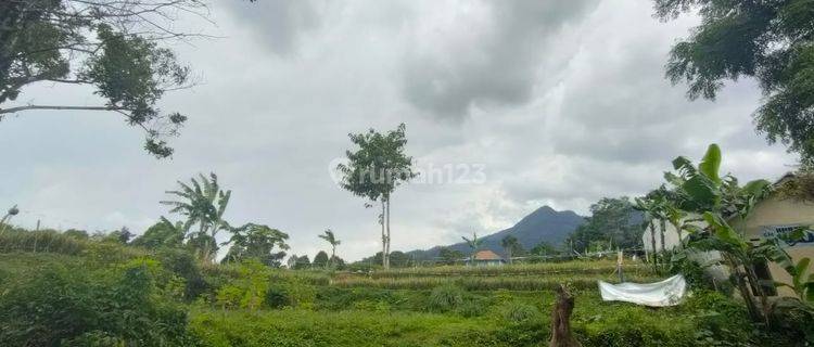 Jual Tanah Darat dan Sawah Ada Air Mengalir Pemandangan Bagus di Subang Tanah 1