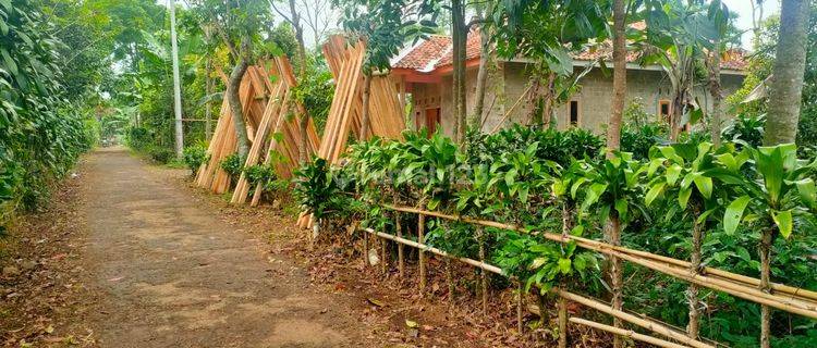Jual Tanah Kebun Murah Pinggir Jalan Desa di Bojong Purwakarta 1